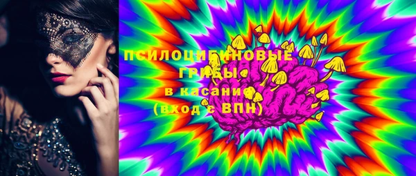 прущий лед Арсеньев