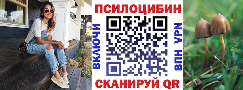 гидра ссылка Сосновый Бор Галлюциногенные грибы GOLDEN TEACHER